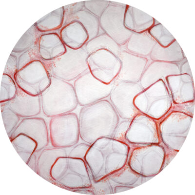 Tomato (12"x12")